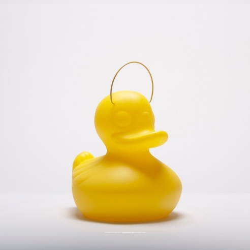 THE DUCK DUCK LAMP S