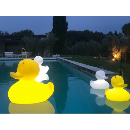 THE DUCK DUCK LAMP S