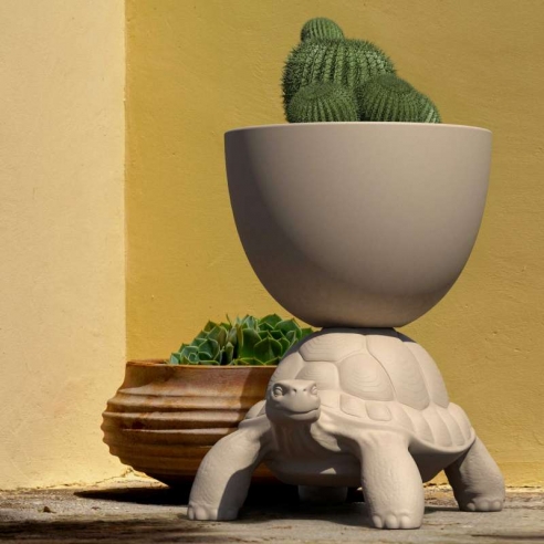 TURTLE CARRY PLANTER AND CHAMPAGNE... TURTLE CARRY PLANTER AND CHAMPAGNE...
