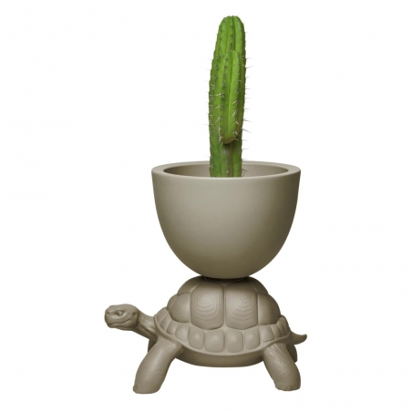 TURTLE CARRY PLANTER AND CHAMPAGNE COOLER