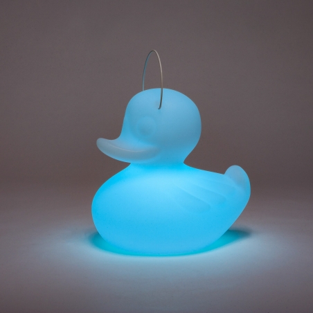 THE DUCK DUCK LAMP S