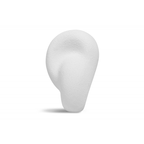 THE ACOUSTIC SCULPTURE